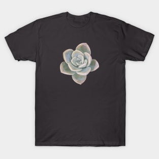 Low Poly Faded Succulent T-Shirt